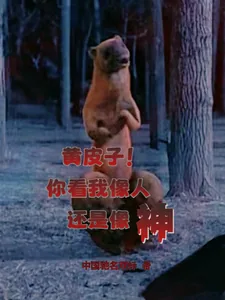 《黄皮子!你看我像人还是像神?》小说封面