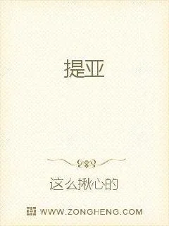 《提亚》小说封面
