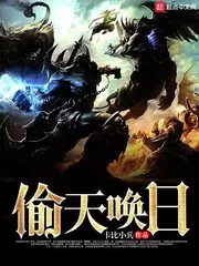 《偷天唤日》小说封面