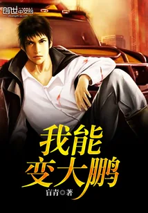 《我能变大鹏》小说封面