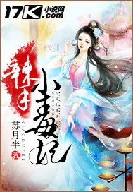 《辣手小毒妃》小说封面