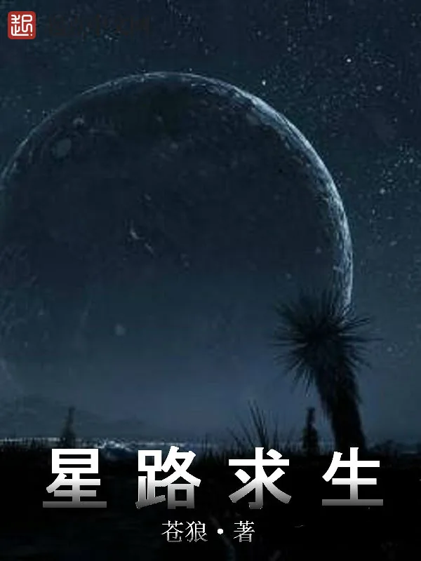 《星路求生》小说封面