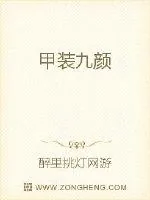 《甲装九颜》小说封面