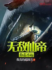 《无敌仙帝你惹不起》小说封面