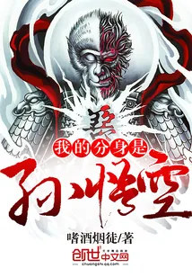 《我的分身是孙悟空》小说封面