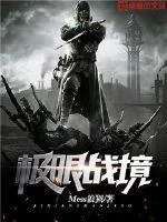 《极限战境》小说封面
