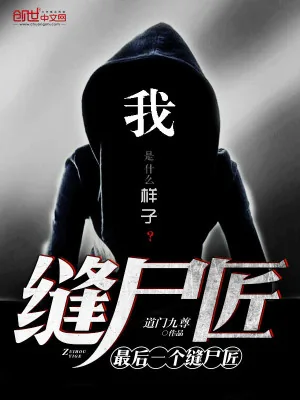 《最后一个缝尸匠》小说封面
