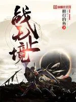 《战无止境》小说封面