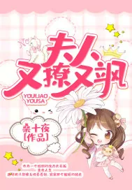 《夫人又撩又飒》小说封面