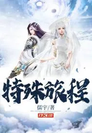 《特殊旅程》小说封面