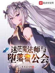 《迷茫魔法师与堕落者公会》小说封面