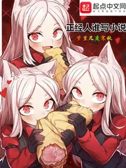 《正经人谁写小说》小说封面