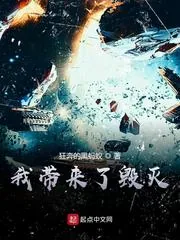 《我带来了毁灭》小说封面