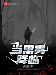 《当黑雾降临》小说封面