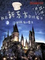 《我在新东方教授魔法》小说封面
