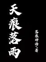 《天痕落雨》小说封面