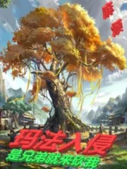 《玛法入侵:是兄弟就来砍我》小说封面