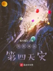 《我能操纵第四天灾》小说封面