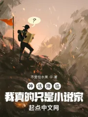 《神话降临：我真的只是小说家》小说封面
