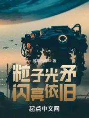 《粒子光矛闪亮依旧》小说封面