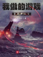 《我做的游戏全是BUG》小说封面