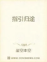 《指引归途》小说封面