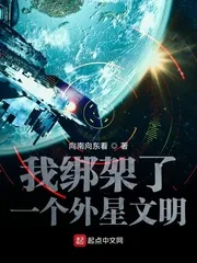 《我绑架了一个外星文明》小说封面