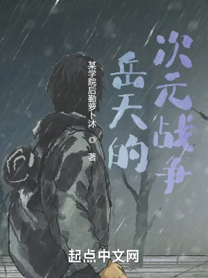 《岳天的次元战争》小说封面