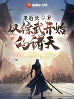 《从综武开始的诸天》小说封面