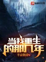 《当我重生的那几年》小说封面