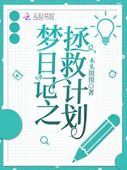 《梦日记之拯救计划》小说封面