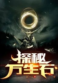 《探秘万生石》小说封面