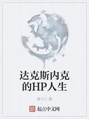 《达克斯内克的HP人生》小说封面