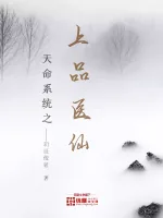 《天命系统之上品医仙》小说封面