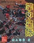 《掌中星际》小说封面