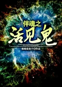 《伴魂之活见鬼》小说封面