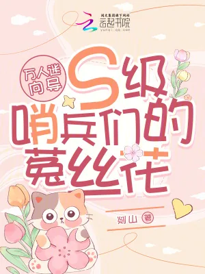 《万人迷向导：S级哨兵们的菟丝花》小说封面