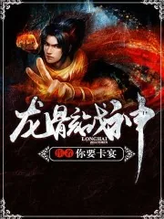 《龙骸战神》小说封面