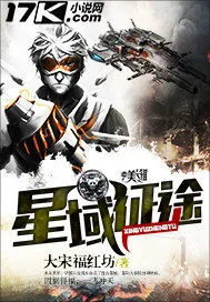 《星域征途》小说封面