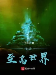 《打造至高世界》小说封面