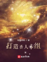 《打造圣人卡组》小说封面