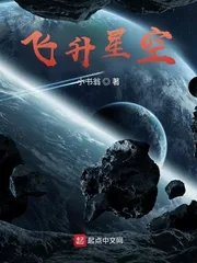 《飞升星空》小说封面