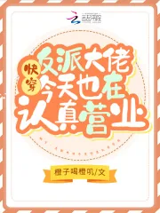 《快穿：反派大佬今天也在认真营业》小说封面