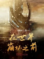 《在世界崩坏之前》小说封面