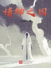 《诸神之因》小说封面