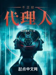 《不正经代理人》小说封面