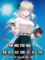 《神秘降临:我的交换不对等》小说封面