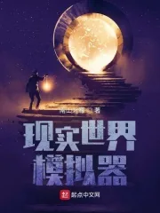 《现实世界模拟器》小说封面