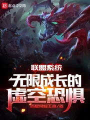 《联盟系统：无限成长的虚空恐惧》小说封面