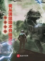 《地星穿越,我从满级国术开始进化》小说封面